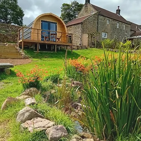 Coombs Glamping Pods 캠프장 댄비