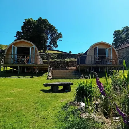 Coombs Glamping Pods 营地 *