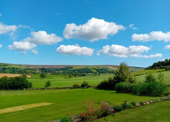 Kemping Coombs Glamping Pods *